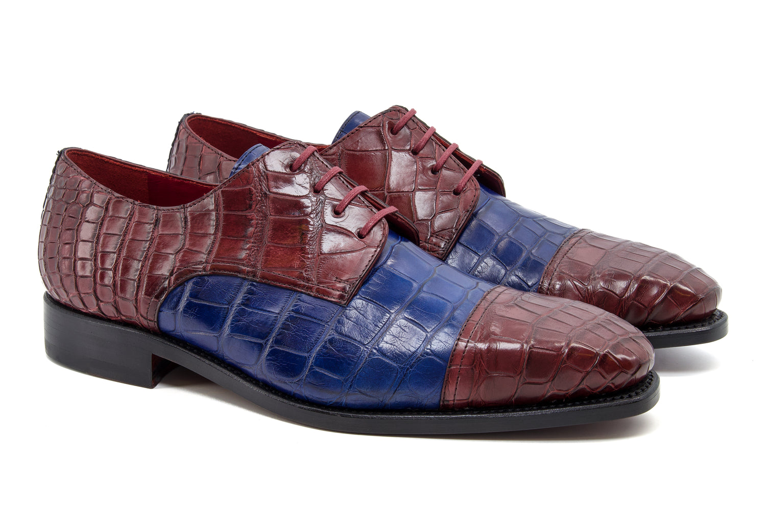 Alligator - Two-tone Derby