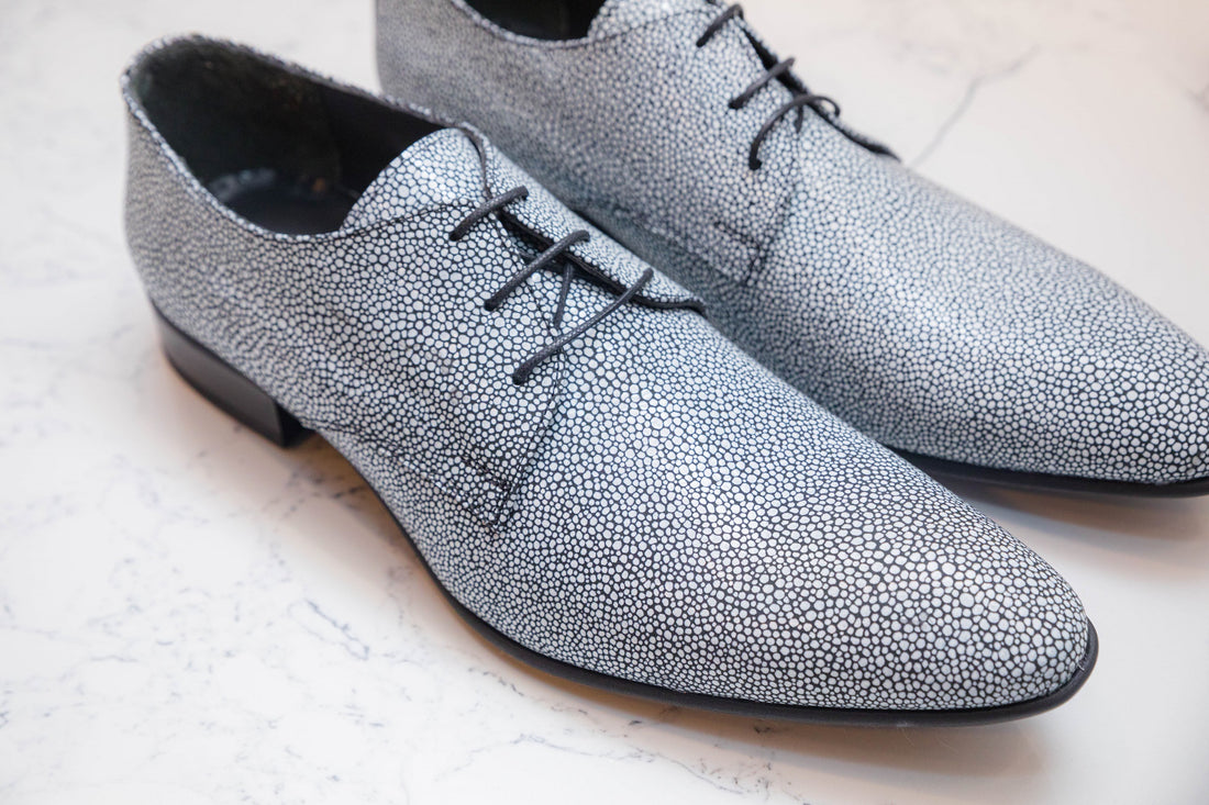 The Stingray Shoes - Shiny Shoes