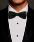 Green bowtie 