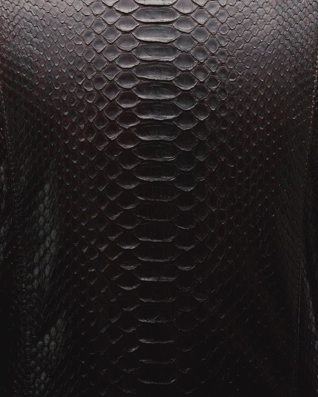 Python Leather Jacket - Brown – Urbbana