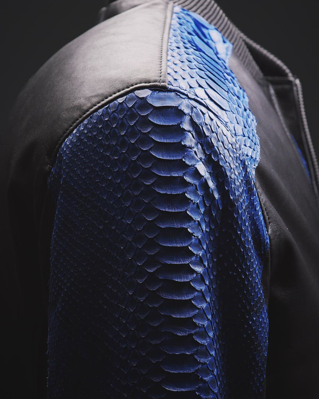 Python and Lambskin Leather Jacket - Blue/Black